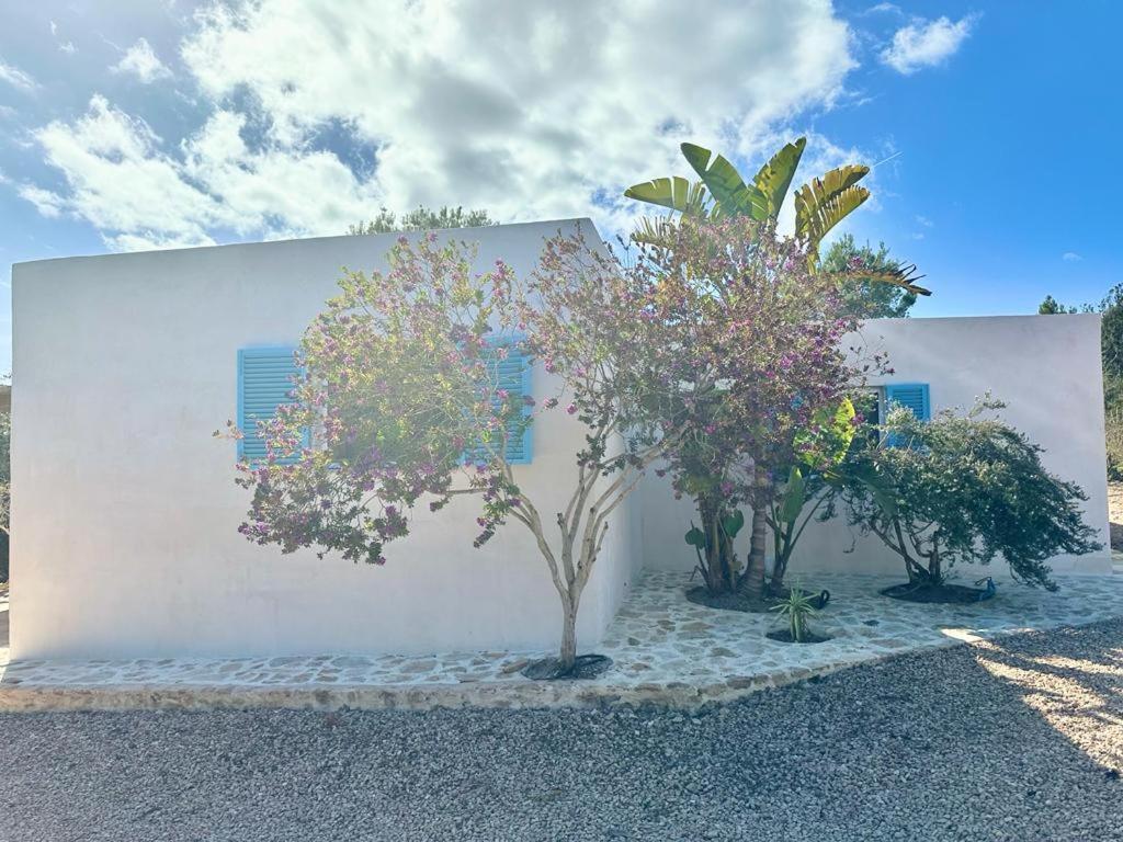 Casa Rustick San Francisco Javier Exterior foto